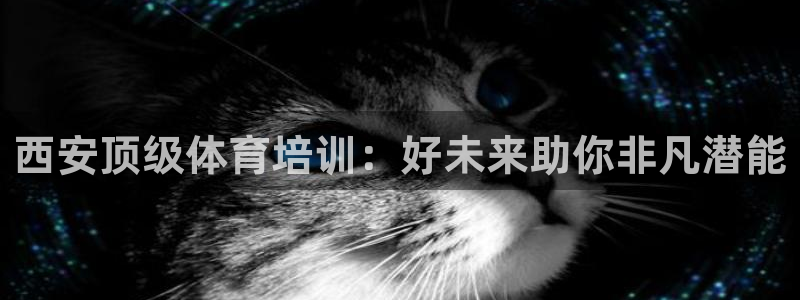 耀世平台云 411o31 耀世