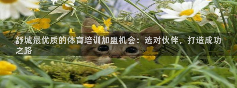 耀世平台登陆：舒城最优质的体育培训加盟机会：选对伙伴