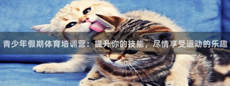 耀世集团董事长耀阳：青少年假期体育培训营：提升你的技