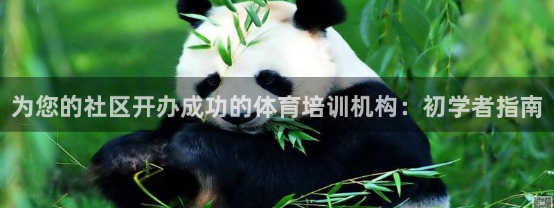 耀世娱乐登陆官网下载：为您的社区开办成功的体育培训机