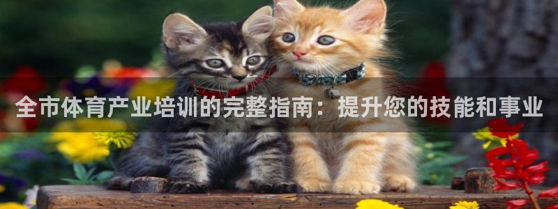 耀世官方网站