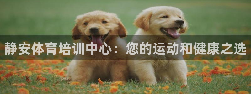 耀世娱乐如何登录账号啊：静安体育培训中心：您的运动和