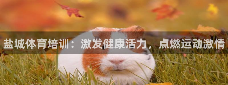 耀世娱乐脚本下载