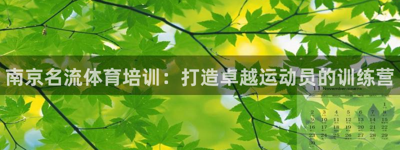耀世娱乐登陆官网入口