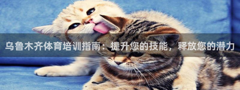 耀世平台精选 58534I 耀世：乌鲁木齐体育培训指