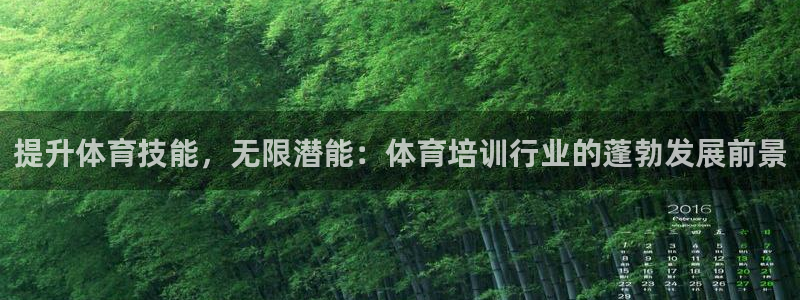 耀世娱乐平台主管：提升体育技能，无限潜能：体育培训行
