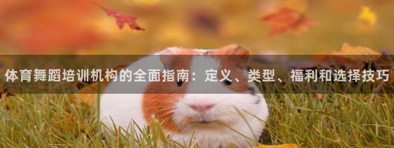 耀世平台非 41IO31 耀世：体育舞蹈培训机构的全