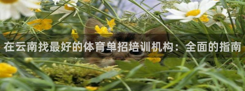 耀世平台合作 585.34I 平台