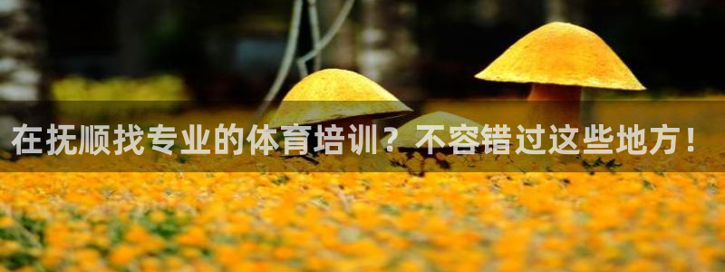 耀世平台客服24小时在线咨询