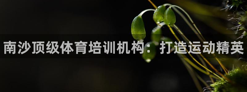 耀世娱乐能提现