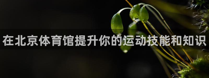 耀世娱乐网址是什么：在北京体育馆提升你的运动技能和知