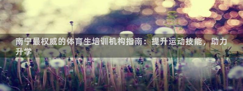 耀世金生产品介绍：南宁最权威的体育生培训机构指南：提