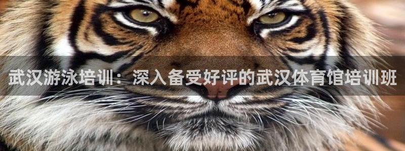 耀世娱乐客服电话：武汉游泳培训：深入备受好评的武汉体育馆培训