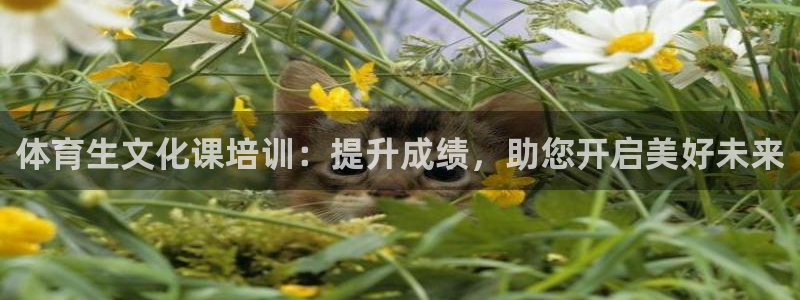 耀世平台登录地址在哪：体育生文化课培训：提升成绩，助