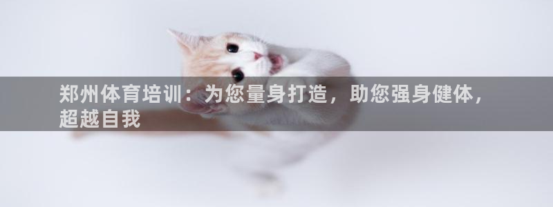 耀世国际集团是国企吗：郑州体育培训：为您量身打造，助