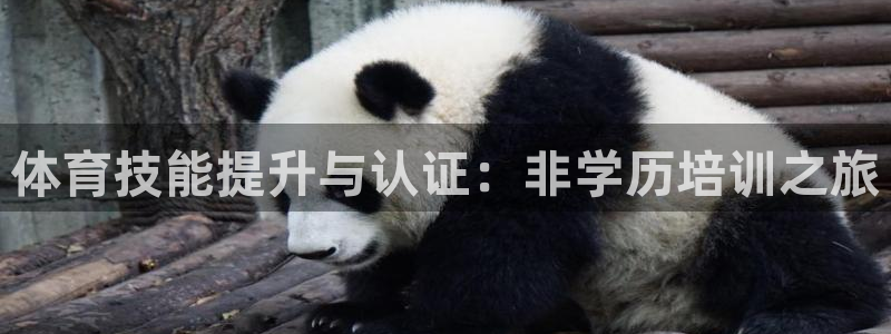 耀世娱乐间7O777：体育技能提升与认证：非学历培训