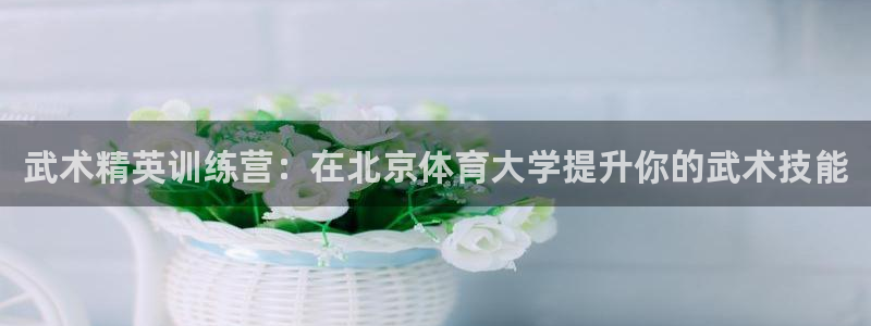 耀世平台精选 58534I 耀世：武术精英训练营：在
