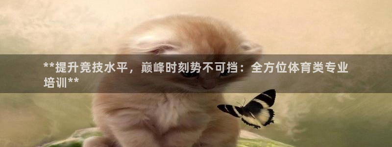 耀世娱乐是不是赚钱快：**提升竞技水平，巅峰时刻势不