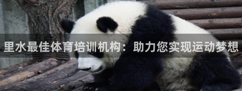 耀世娱乐提款多久到账户：里水最佳体育培训机构：助力您