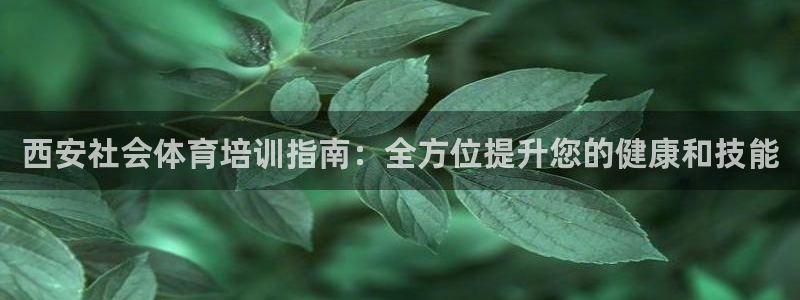 耀世天下短句：西安社会体育培训指南：全方位提升您的健