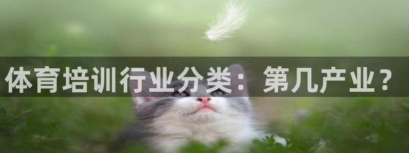 耀世平台注册链接失败：体育培训行业分类：第几产业？
