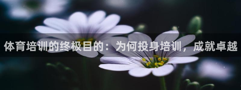 耀世登场之类的广告词