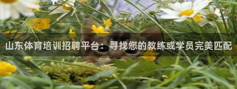 耀世娱乐登录地址在哪查：山东体育培训招聘平台：寻找您