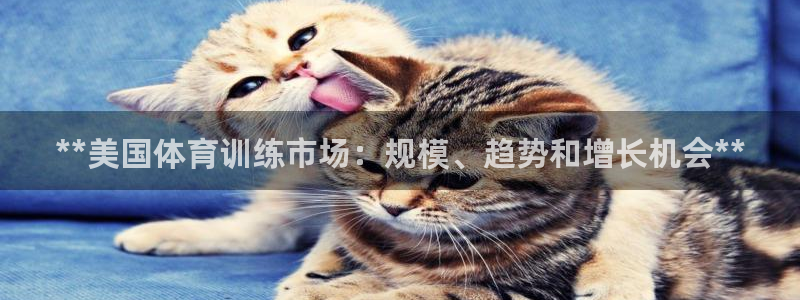 耀世是什么游戏里的人物：**美国体育训练市场：规模、