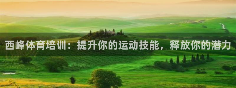 耀世娱乐是不是很黑暗：西峰体育培训：提升你的运动技能