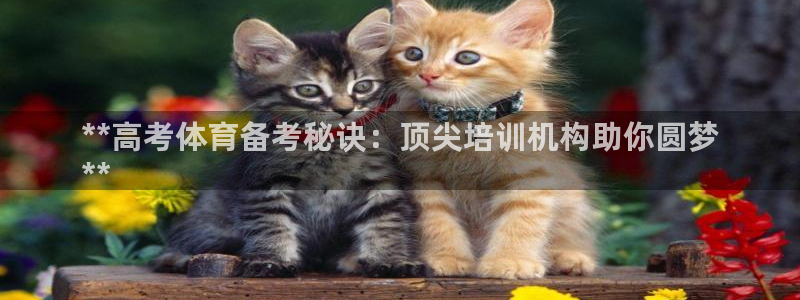 耀世的拼音