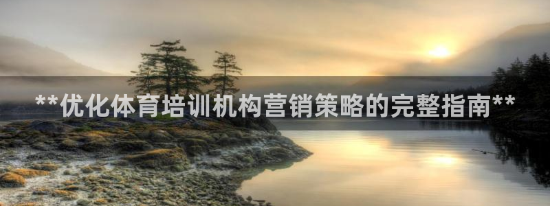 耀世国际平台正规吗可靠吗安全吗：**优化体育培训机构营销策略