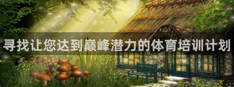 耀世开盘：寻找让您达到巅峰潜力的体育培训计划