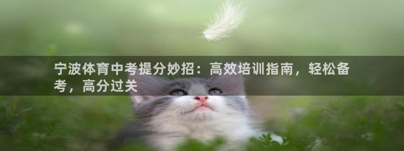耀世微光歌词：宁波体育中考提分妙招：高效培训指南，轻
