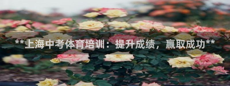耀世平台日7O777：**上海中考体育培训：提升成绩