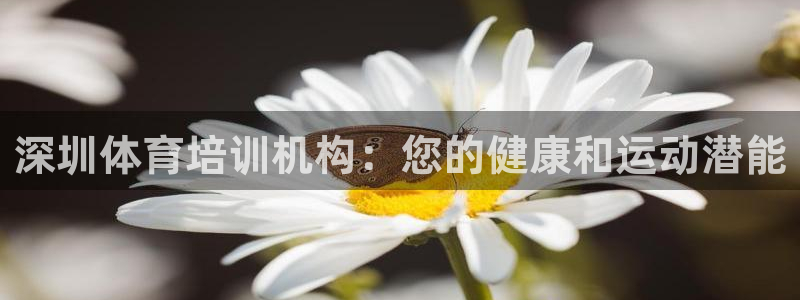 耀世开盘是什么意思：深圳体育培训机构：您的健康和运动潜能