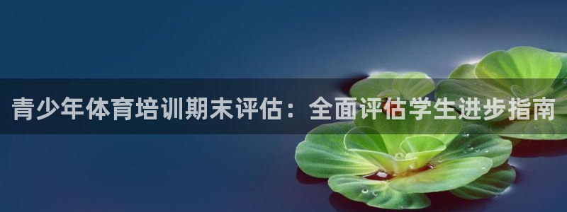 耀世国际集团是国企吗还是央企：青少年体育培训期末评估