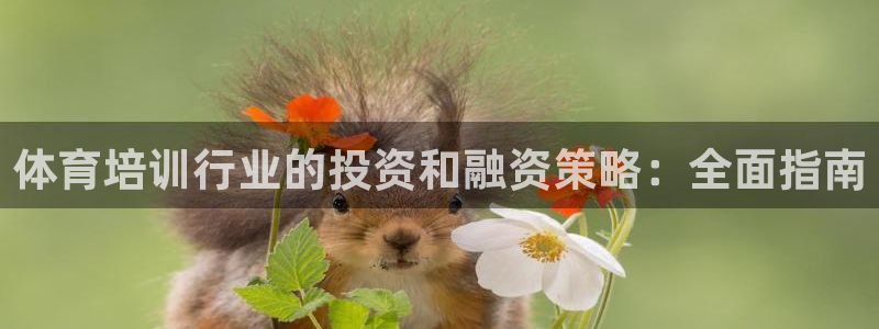 耀世娱乐是什么：体育培训行业的投资和融资策略：全面指