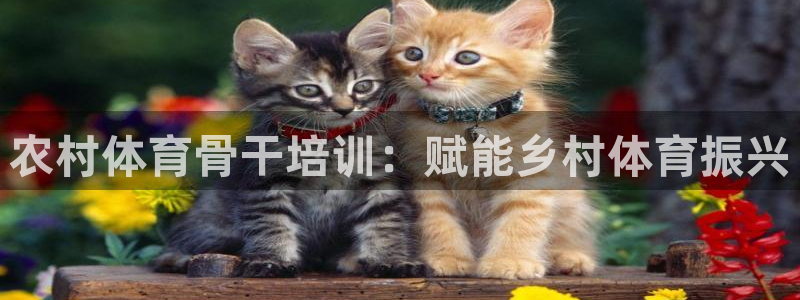 耀世娱乐挂机事件详情：农村体育骨干培训：赋能乡村体育