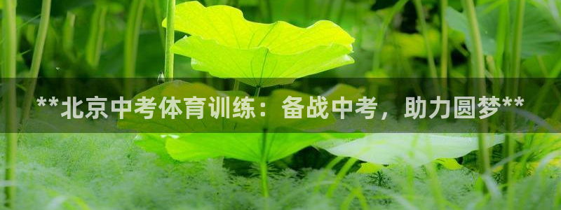 耀世的意思是什么：**北京中考体育训练：备战中考，助