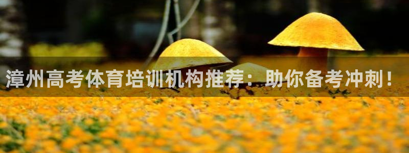 耀世平台注册最新地址在哪：漳州高考体育培训机构推荐：