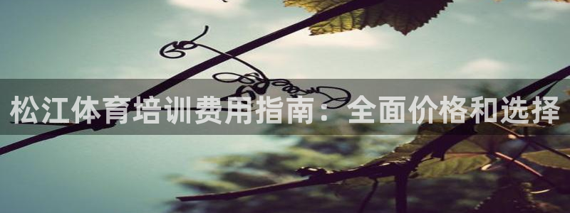耀世娱乐登录地址在哪查：松江体育培训费用指南：全面价