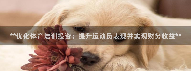 耀世平台注册链接失败：**优化体育培训投资：提升运动