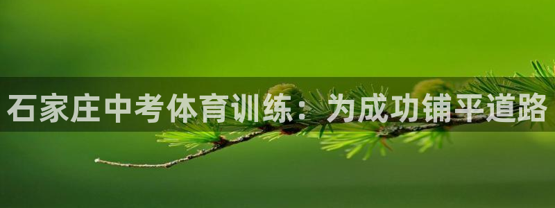耀世平台注册流程：石家庄中考体育训练：为成功铺平道路