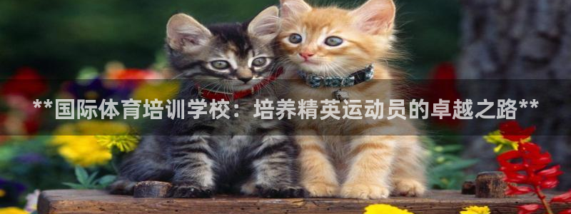 耀世平台的运营模式是什么：**国际体育培训学校：培养精英运动