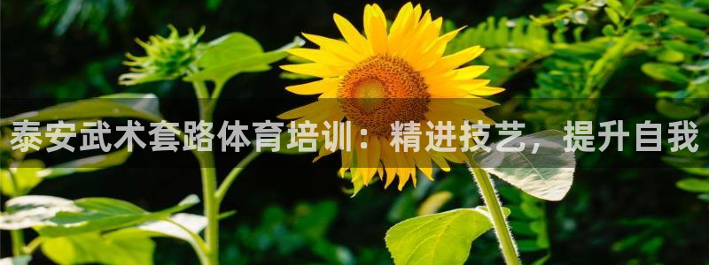耀世雷霆下载：泰安武术套路体育培训：精进技艺，提升自