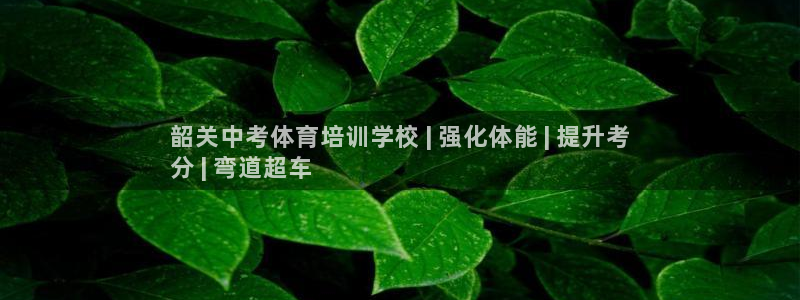 耀世娱乐平台主管：韶关中考体育培训学校 | 强化体能