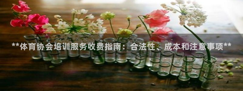 耀世盛典官网入口：**体育协会培训服务收费指南：合法