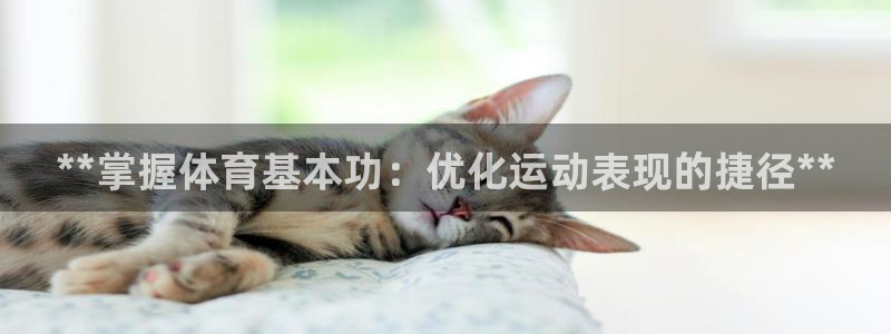 耀世娱乐app下载官网安卓：**掌握体育基本功：优化