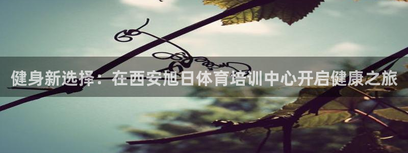 耀世娱乐科学：健身新选择：在西安旭日体育培训中心开启