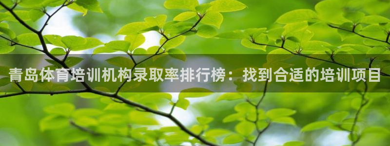 耀世平台注册登录不上：青岛体育培训机构录取率排行榜：